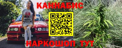 шишки Кинель