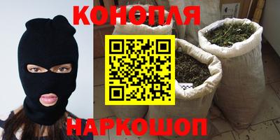 шишки Кинель