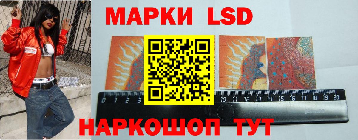Кингисепп  Лсд 25 экстази  Лсд 25 экстази кислота  Вход с VPN  ЛСД экстази ecstasy 