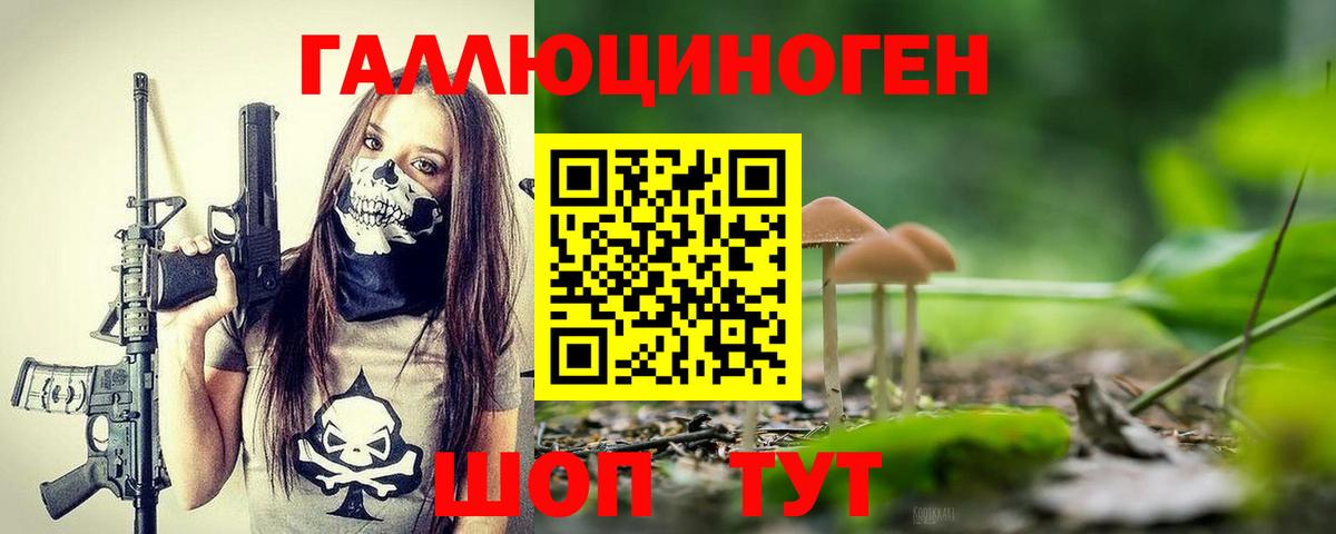 Галлюциногенные грибы Magic Shrooms  Вход с VPN  где купить наркоту  Псилоцибиновые грибы Psilocybine cubensis  Кингисепп 